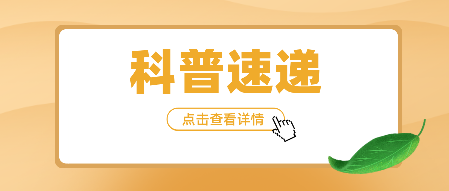 ����x�����ؙC�������x�����ؙC����c��̖��